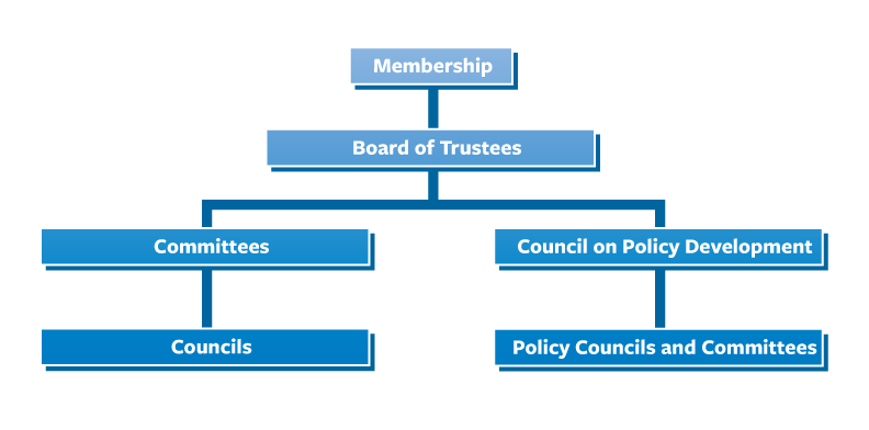 Member-Involvement-Flowchart - Texas Hospital Association