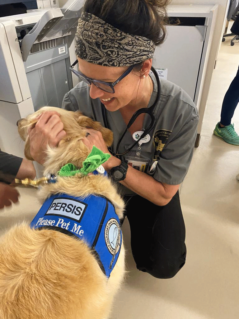 Therapy dog with essential worker - Texas Hospital Association One of the comfort dogs sent to Uvalde interacts with a UMH staff member.