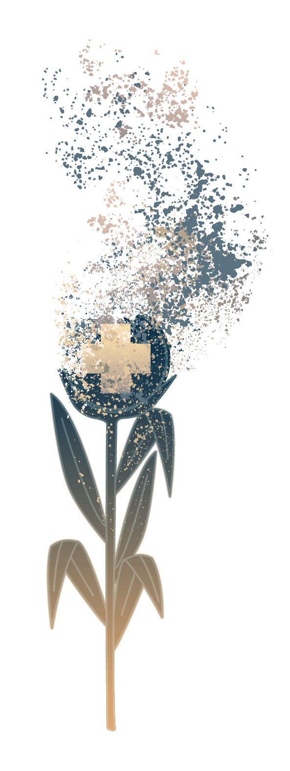 RuralHospitals_Illustration_SingleStalk-1-1 - Texas Hospital Association
