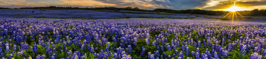 THA Membership Awards - Texas Hospital Association